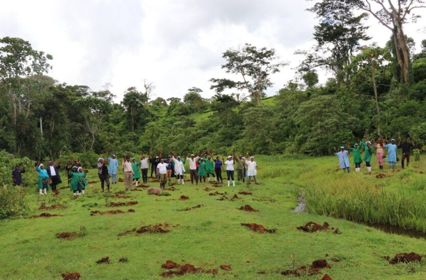 Tree Planting